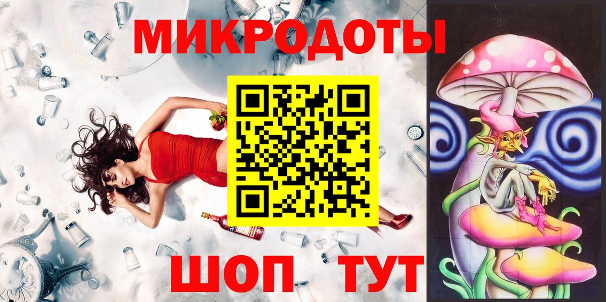 Псилоцибиновые грибы Psilocybe Прокопьевск